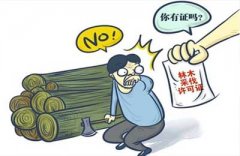 没动手砍树却被判刑到底是为啥 苏州刑事辩护律师以案释法