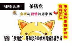 最高法 杀猪盘等网络诈骗 变种为48类300余种