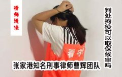 苏州判处拘役可以取保候审吗