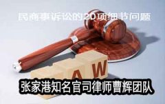 民商事诉讼的20项细节问题详解 苏州民事诉讼律师 