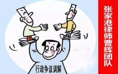 苏州行政纠纷律师曹辉团队