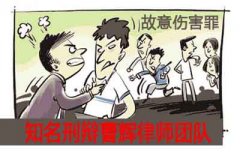 故意伤害罪解析  